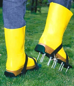 Gras Verticuteer Schoenen