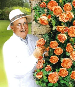 Set Clematis 'The President' & Klimroos 'Papi Delbard®' -Bloesemseizoen 8901292916766