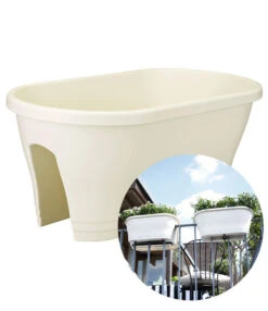 Corsica Flower Bridge® Wit, 60 Cm