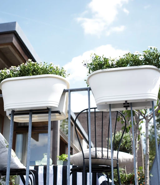 Corsica Flower Bridge® Wit, 60 Cm 2 Corsica Flower Bridge® Wit, 60 Cm - Afbeelding 2