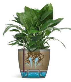 Emsa® Bloempot Casa Brilliant ø 28 Cm 'wit' 6 Emsa® Bloempot Casa Brilliant ø 28 Cm 'wit' -Bloesemseizoen 8901669683230