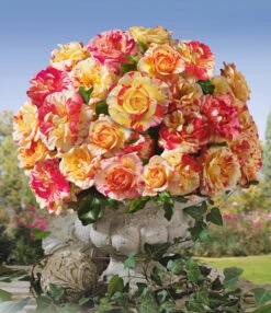 Bloesemseizoen -Bloesemseizoen 8969906421790