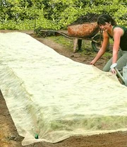 Afdekvlies 3 Afdekvlies - Afbeelding 3