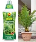 COMPO® SANA® Meststof Voor Palmen & Canarische Dadelpalm Ca. 60-70 Cm Hoog