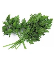 Vitaalbox Zaadbox 8 Vitaalbox Zaadbox - Afbeelding 8