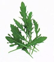 Vitaalbox Zaadbox 10 Vitaalbox Zaadbox - Afbeelding 10