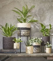 Plantenkrukje/Planten Standaard 'Ascot' 20,5 Cm 3 Plantenkrukje/Planten Standaard 'Ascot' 20,5 Cm - Afbeelding 3