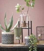 Plantenkrukje/Planten Standaard 'Ascot' 20,5 Cm 4 Plantenkrukje/Planten Standaard 'Ascot' 20,5 Cm - Afbeelding 4