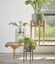 Plantenkrukje/Planten Standaard 'Ascot' 20,5 Cm 5 Plantenkrukje/Planten Standaard 'Ascot' 20,5 Cm - Afbeelding 5