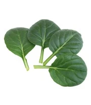 Groene Smoothies Zaadbox 8 Groene Smoothies Zaadbox - Afbeelding 8