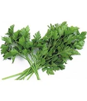 Groene Smoothies Zaadbox 10 Groene Smoothies Zaadbox - Afbeelding 10