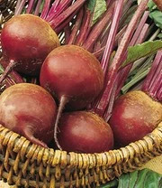 Sylt Zaadbox 3 Sylt Zaadbox - Afbeelding 3