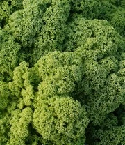 Sylt Zaadbox 7 Sylt Zaadbox - Afbeelding 7