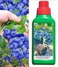 Tros Bosbes 'Reka® Blue' & Bemesting