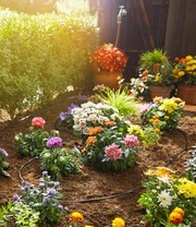 GARDENA® Micro-Drip-System Beplante Rijen Startset S 3 GARDENA® Micro-Drip-System Beplante Rijen Startset S - Afbeelding 3