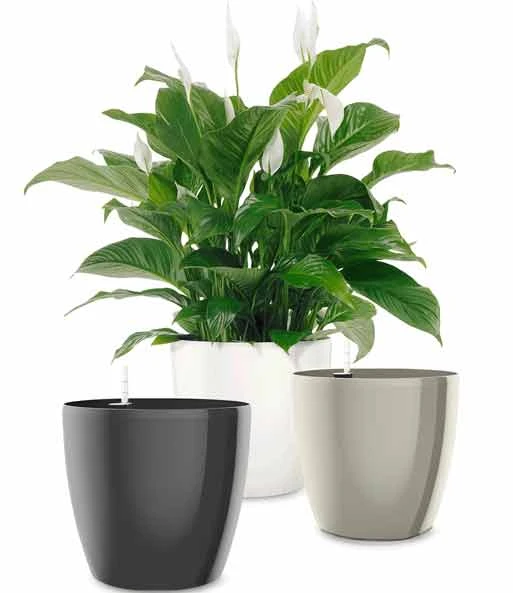 EMSA® Casa Brilliant Bloempot ø 28 Cm 'grijs' 2 EMSA® Casa Brilliant Bloempot ø 28 Cm 'grijs' - Afbeelding 2