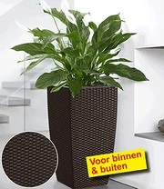 Emsa® Casa Mesh Bloemenzuil 57 Cm Hoog 'mocca'