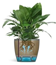 Emsa® Casa Brilliant Bloempot ø 35 Cm 'graniet' 3 Emsa® Casa Brilliant Bloempot ø 35 Cm 'graniet' - Afbeelding 3